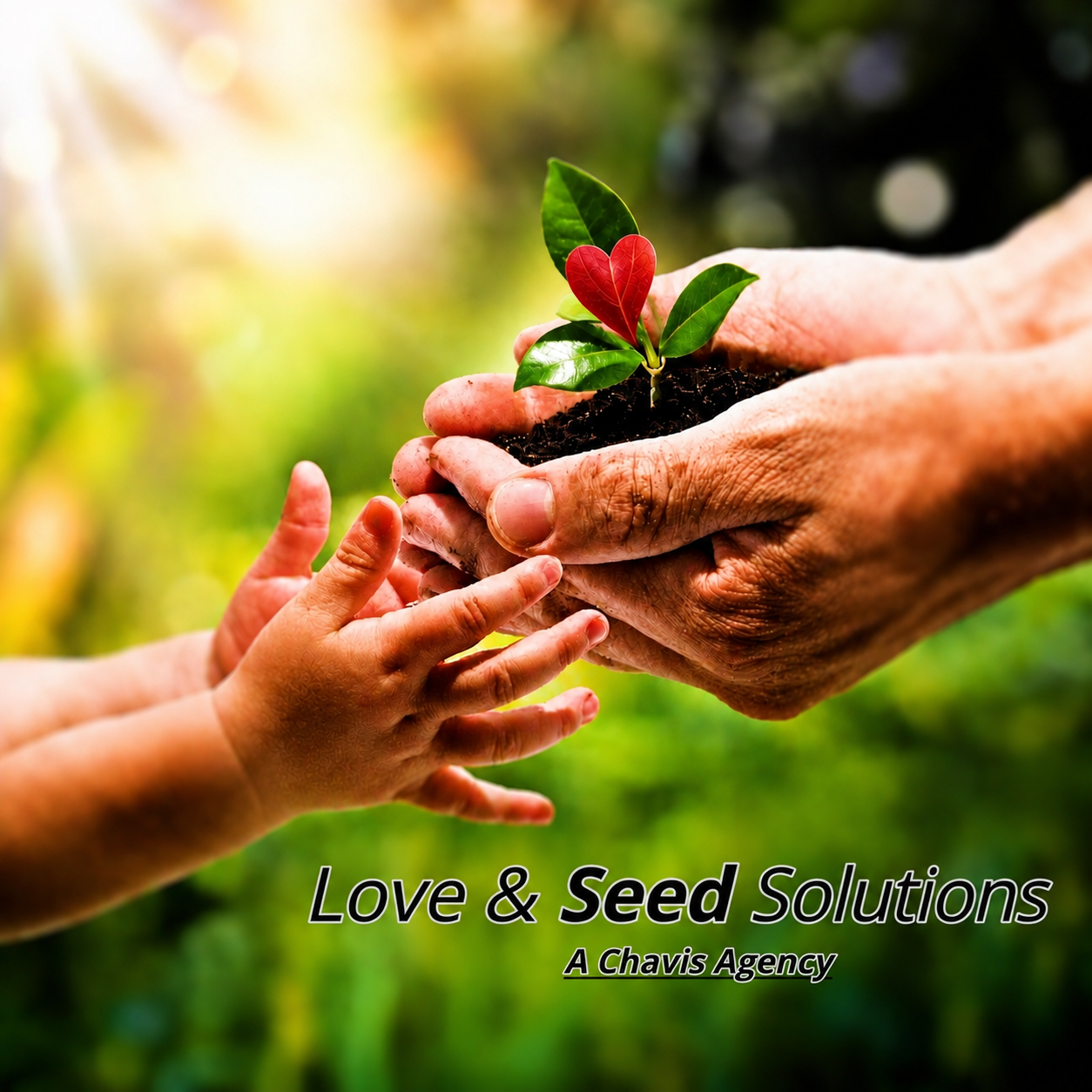 Hands nurturing a young seedling, symbolizing growth and protection